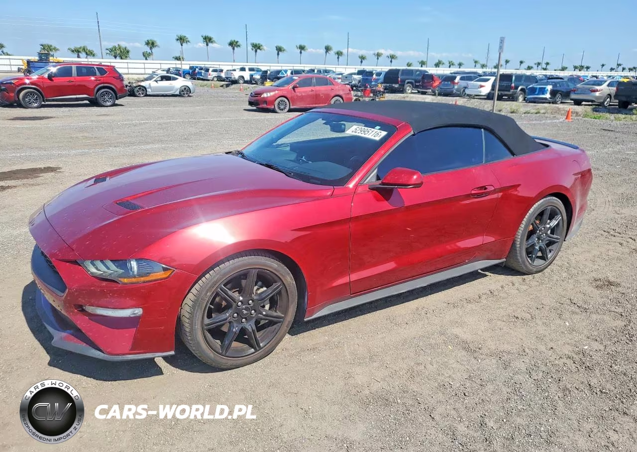2019 Ford Mustang – zdjęcie 1 z 12