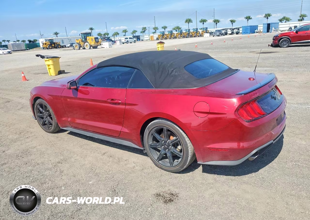 2019 Ford Mustang VIN:1FATP8UH1K5111708 - 2