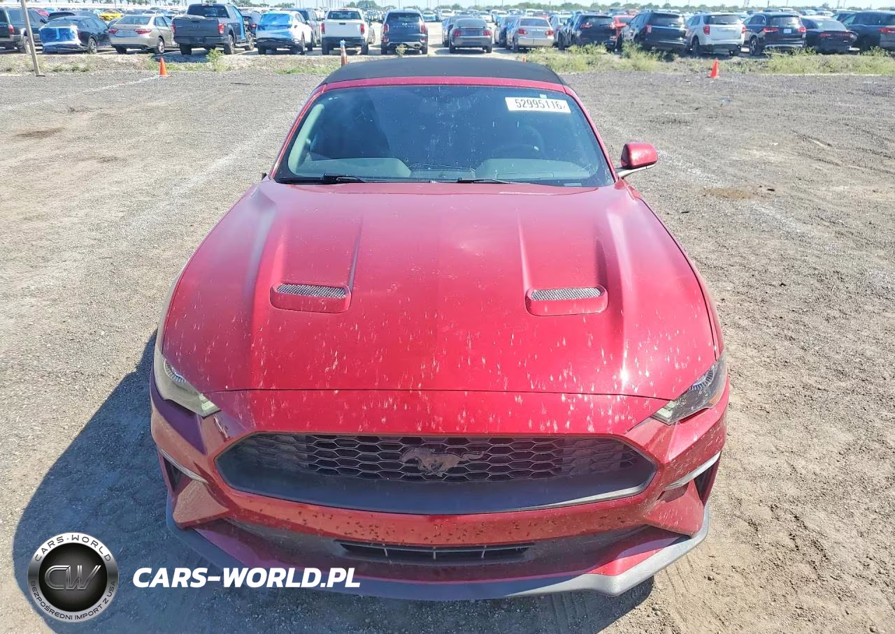 2019 Ford Mustang VIN:1FATP8UH1K5111708 - 5