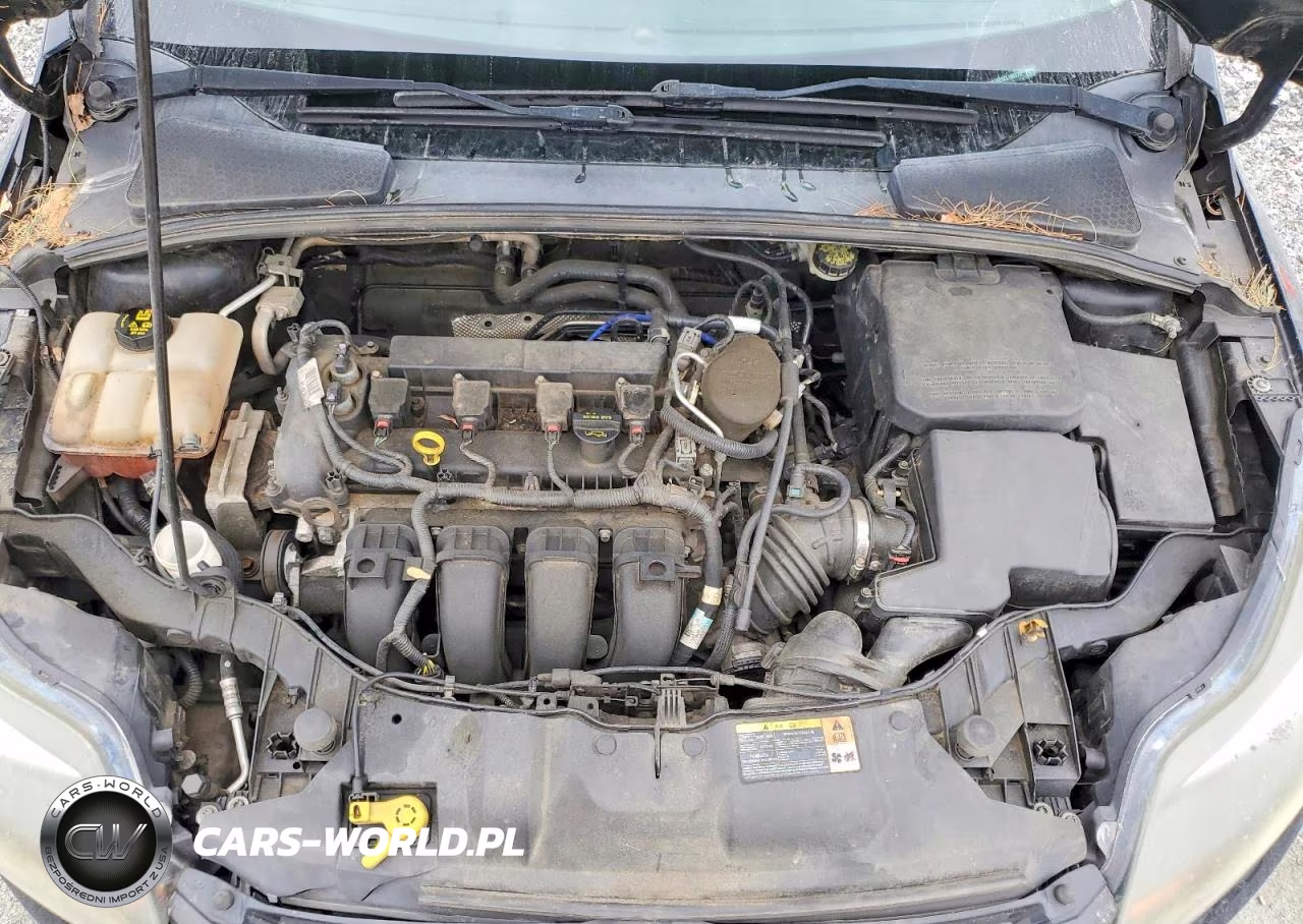 2014 Ford Focus VIN:1FADP3N29EL196279 - 11