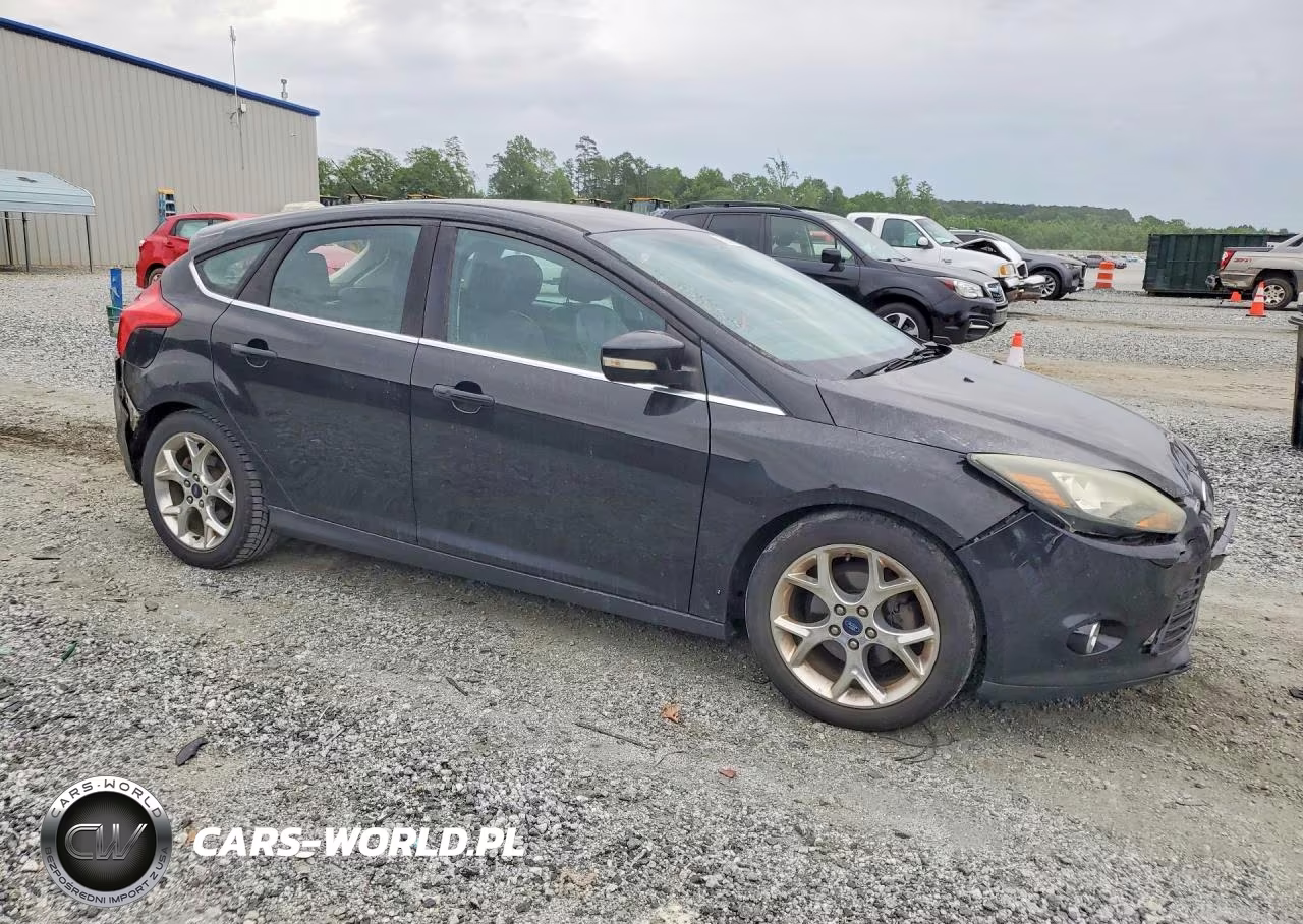 2014 Ford Focus VIN:1FADP3N29EL196279 - 4