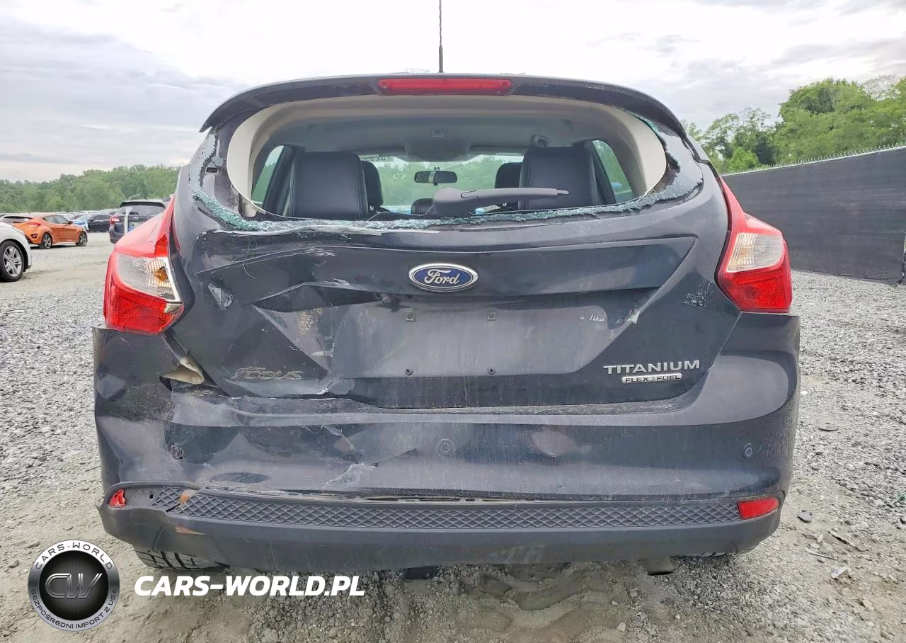 2014 Ford Focus VIN:1FADP3N29EL196279 - 6