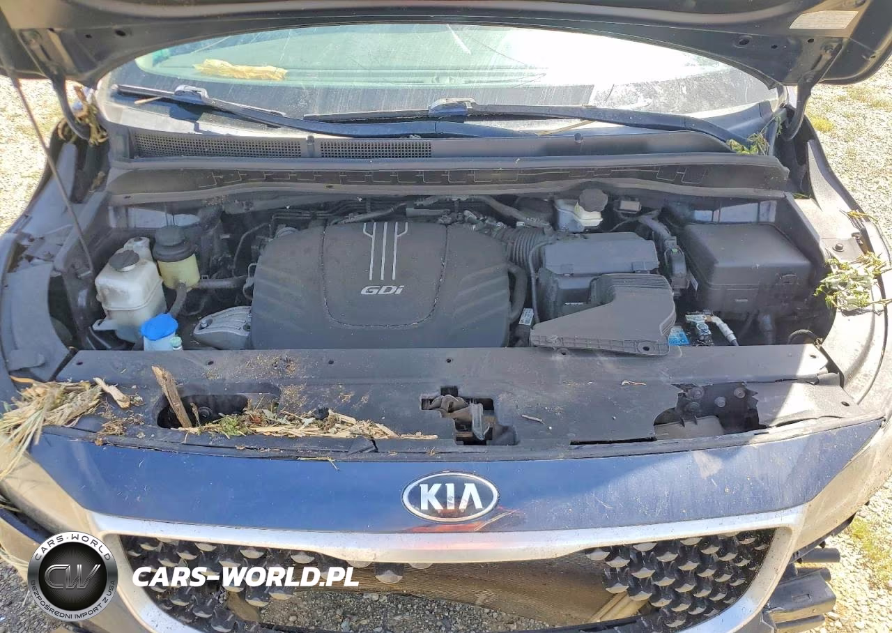 2015 Kia Sedona Lx VIN:KNDMB5C18F6072292 - 12