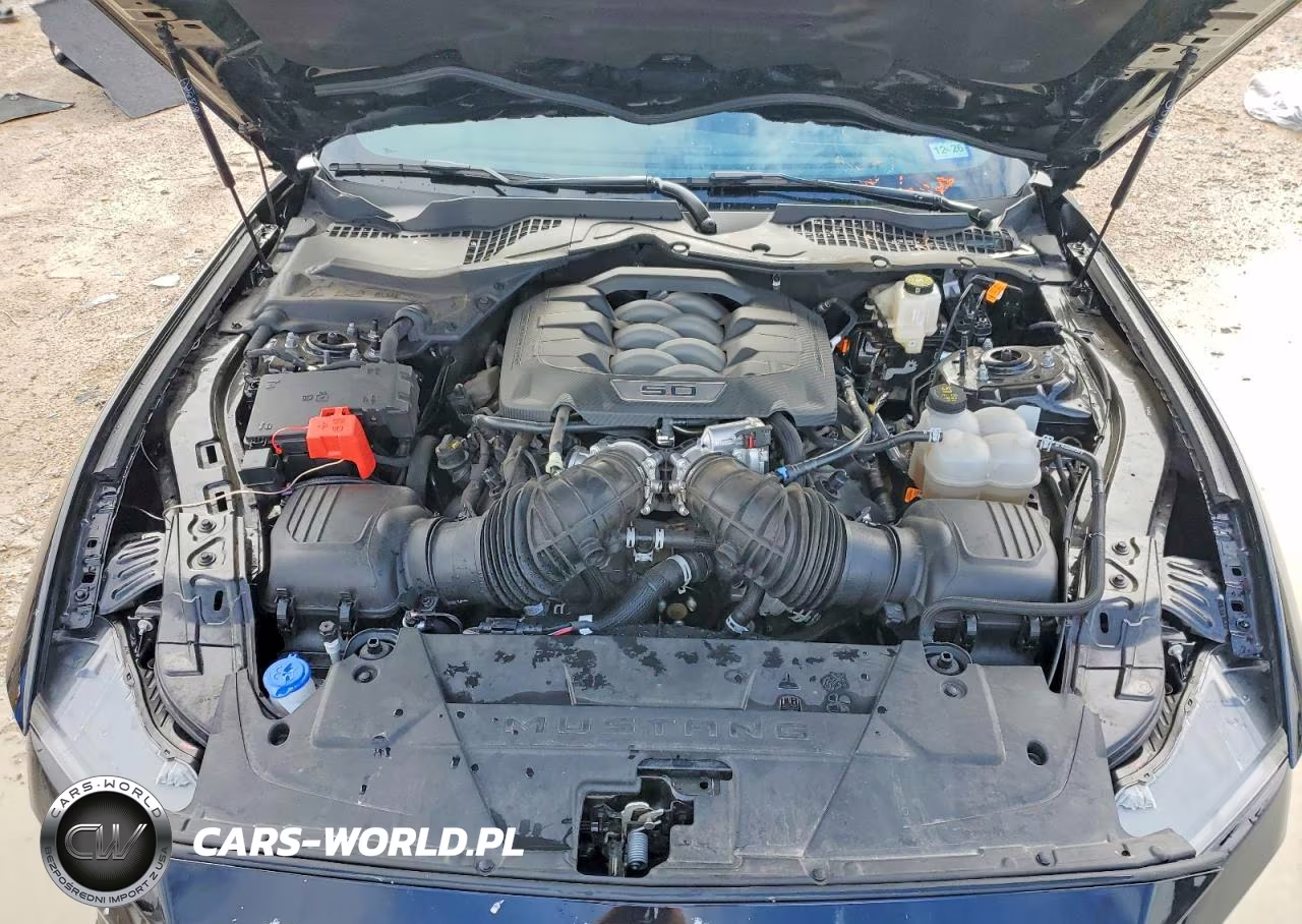 2025 Ford Mustang Gt VIN:1FA6P8CFXS5410126 - 11