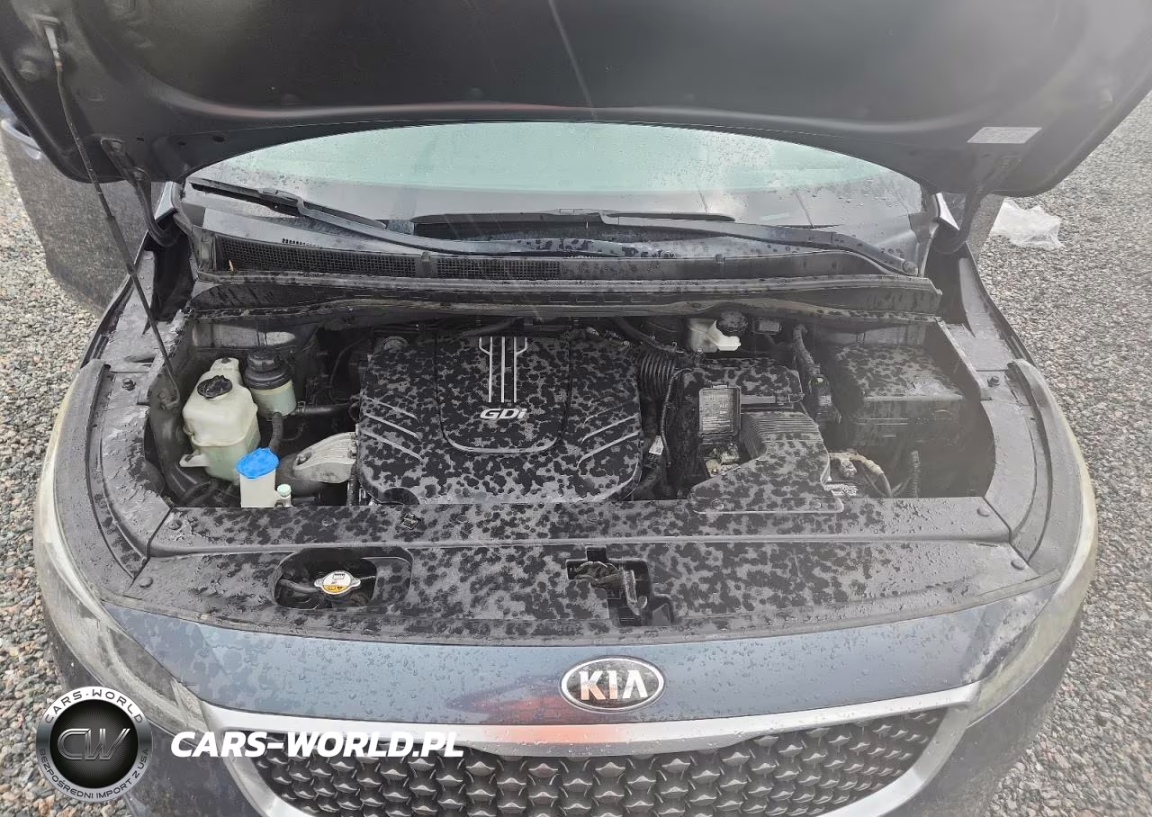 2015 Kia Sedona Ex VIN:KNDMC5C14F6022292 - 12
