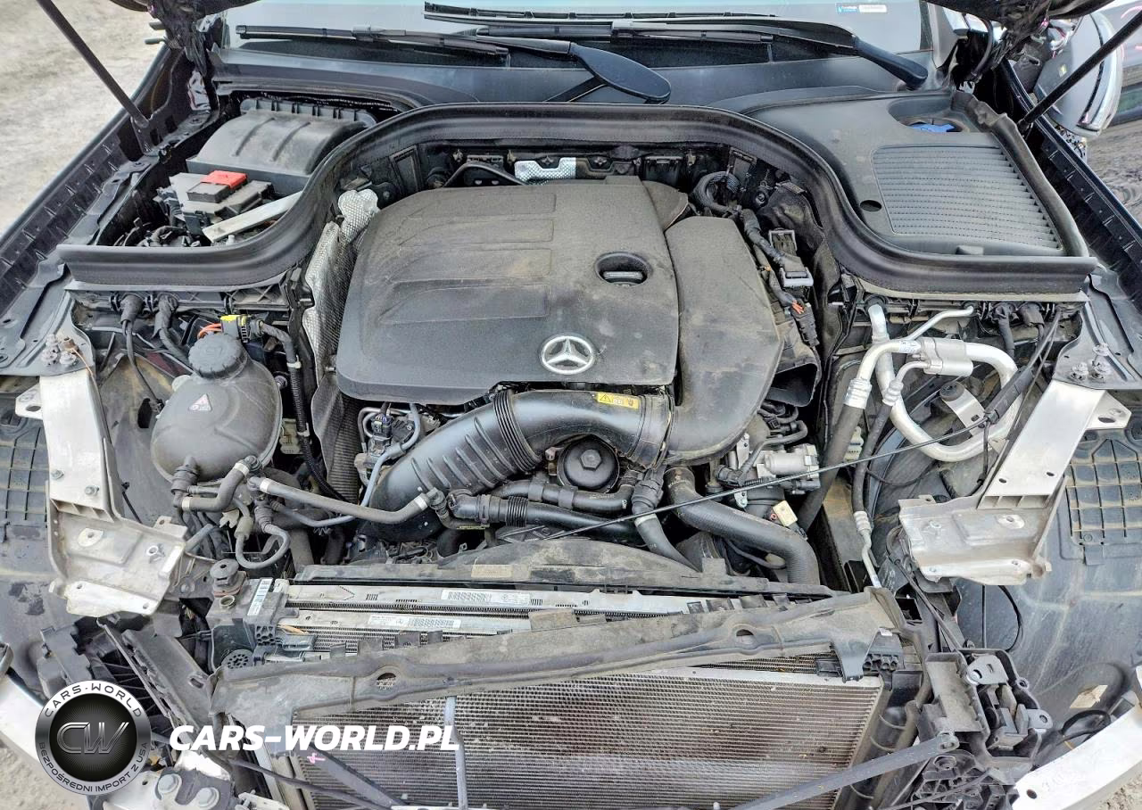 2020 Mercedes-Benz Glc 300 VIN:W1N0G8DB8LF769507 - 12