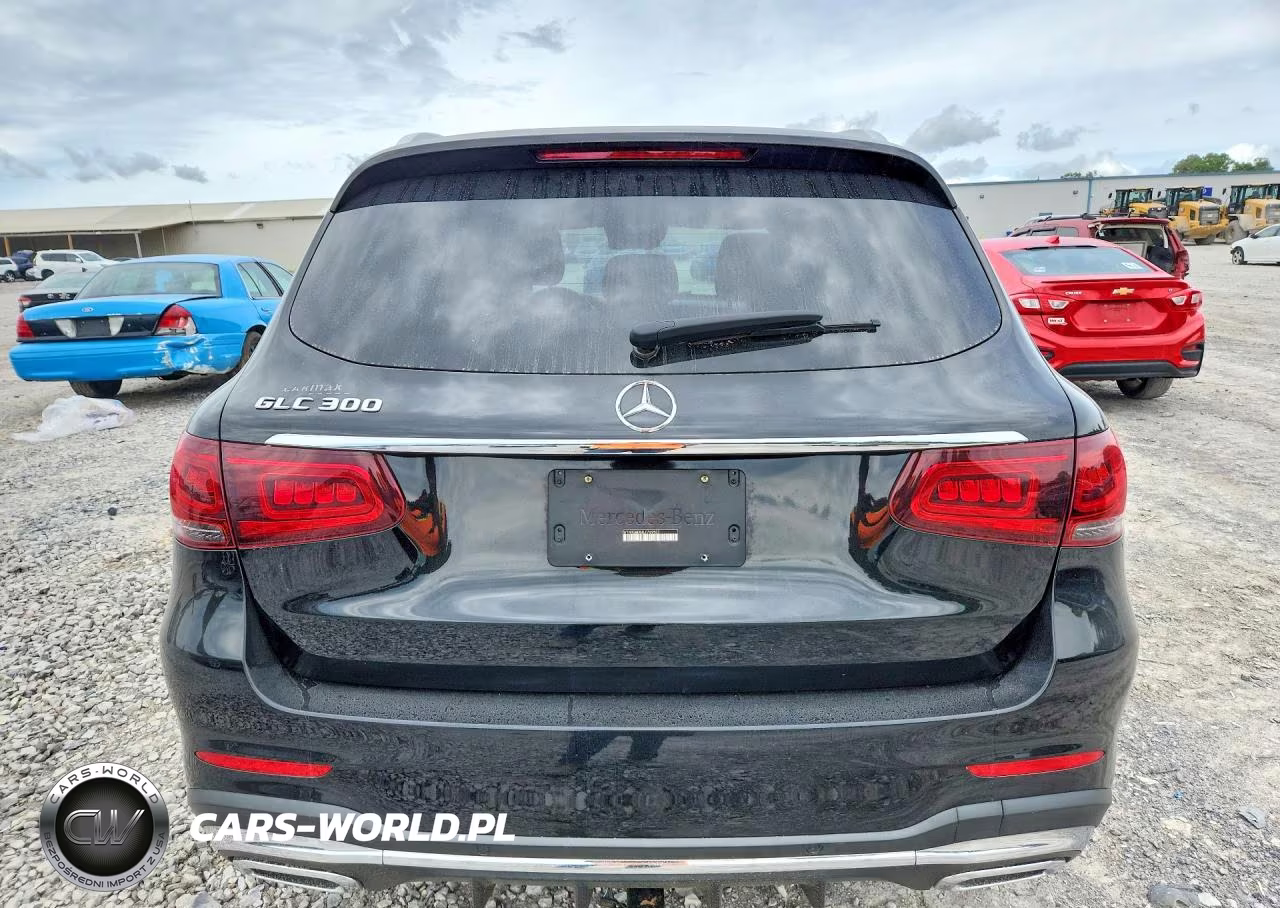 2020 Mercedes-Benz Glc 300 VIN:W1N0G8DB8LF769507 - 6