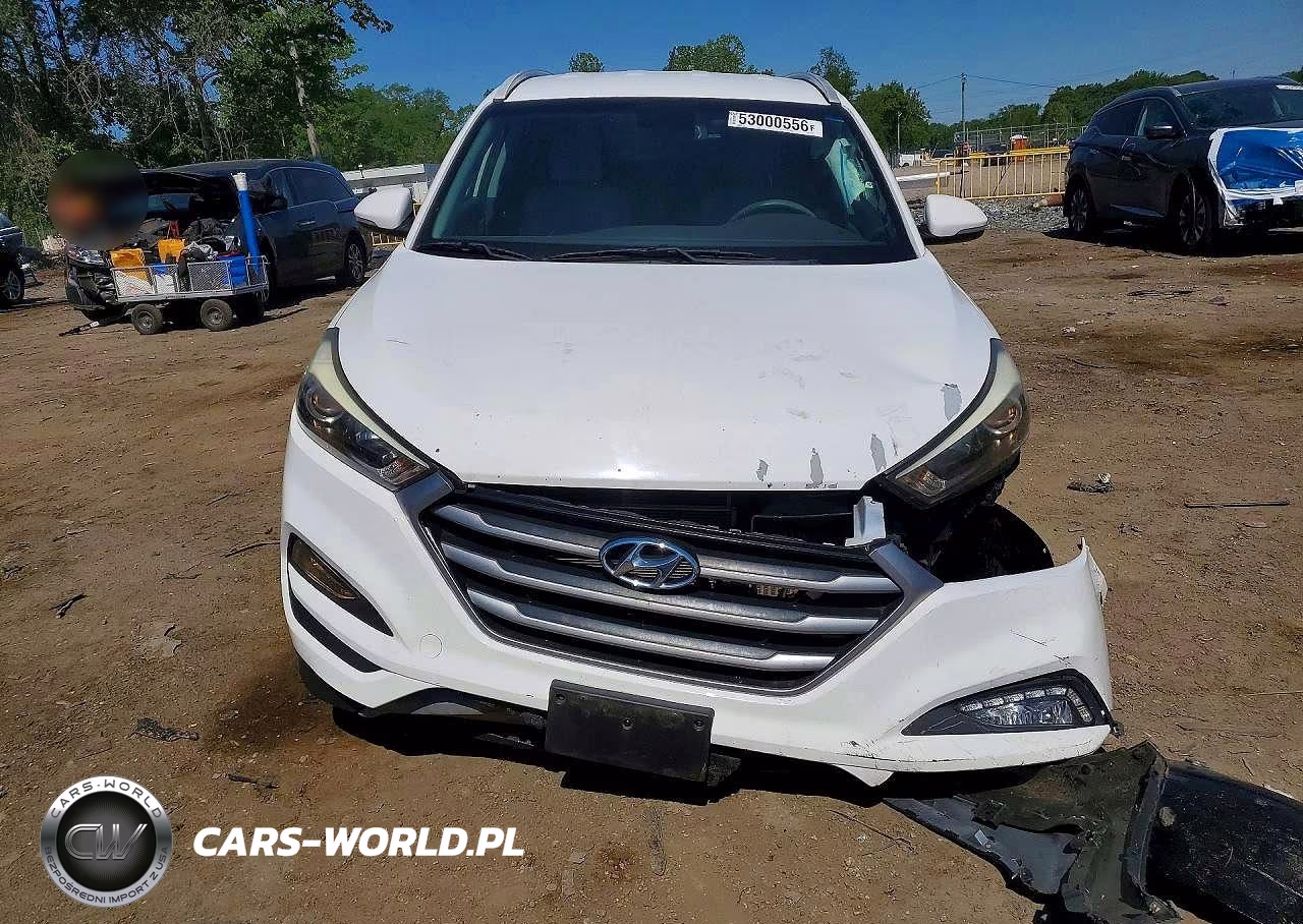 2017 Hyundai Tucson Sport VIN:KM8J33A26HU504758 - 5