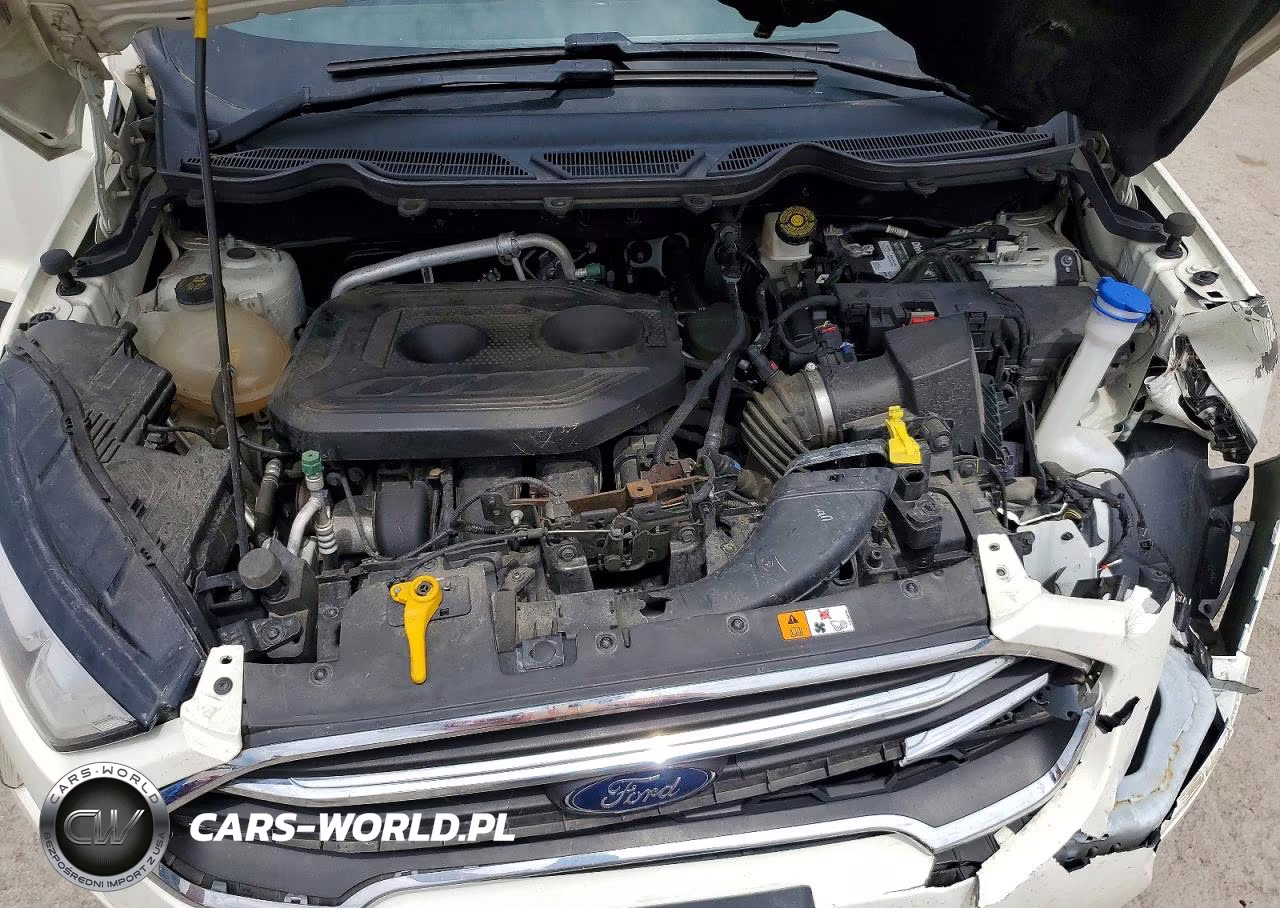 2020 Ford Ecosport Titanium VIN:MAJ6S3KL6LC364252 - 12