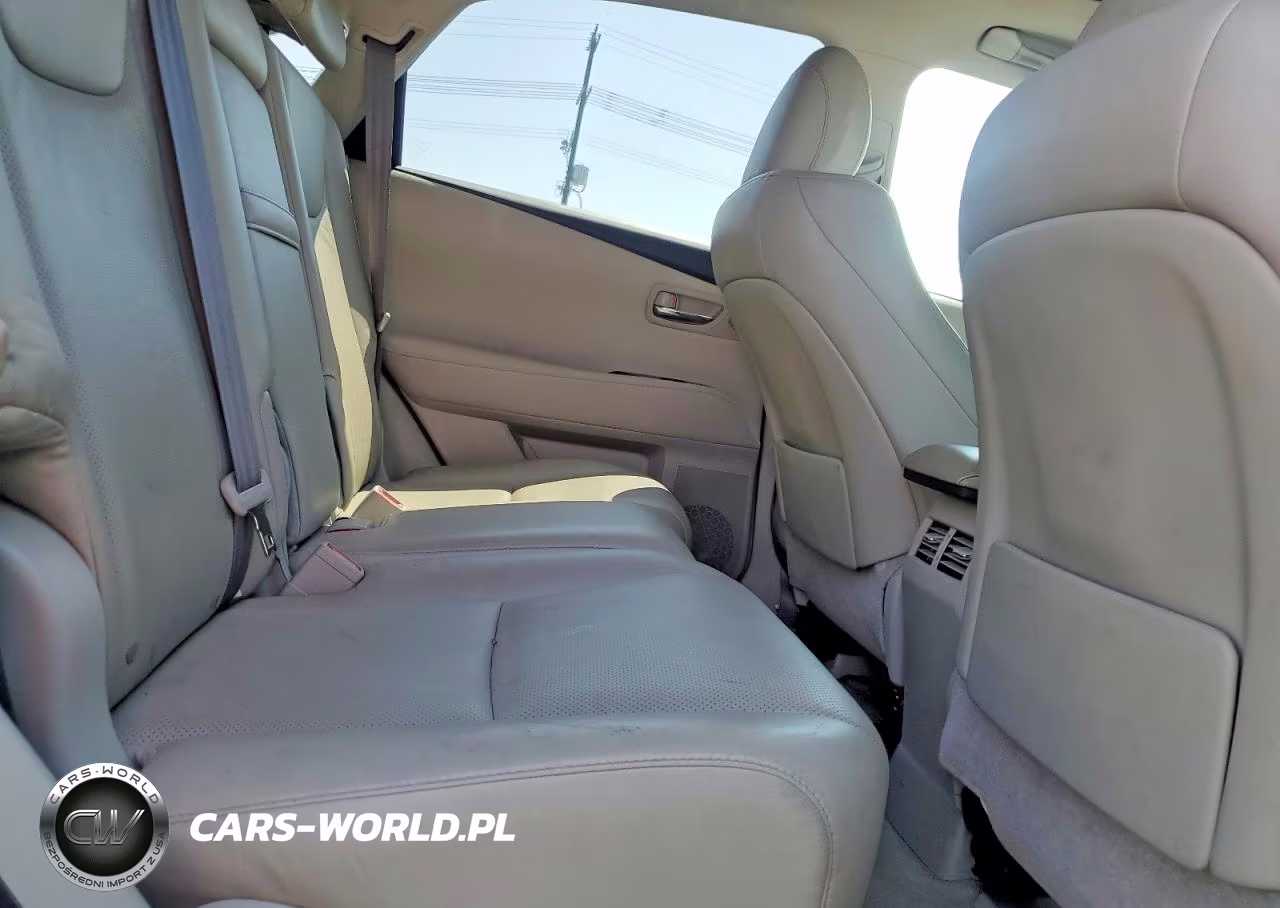 2010 Lexus Rx 350 VIN:JTJZK1BA7A2410097 - 11