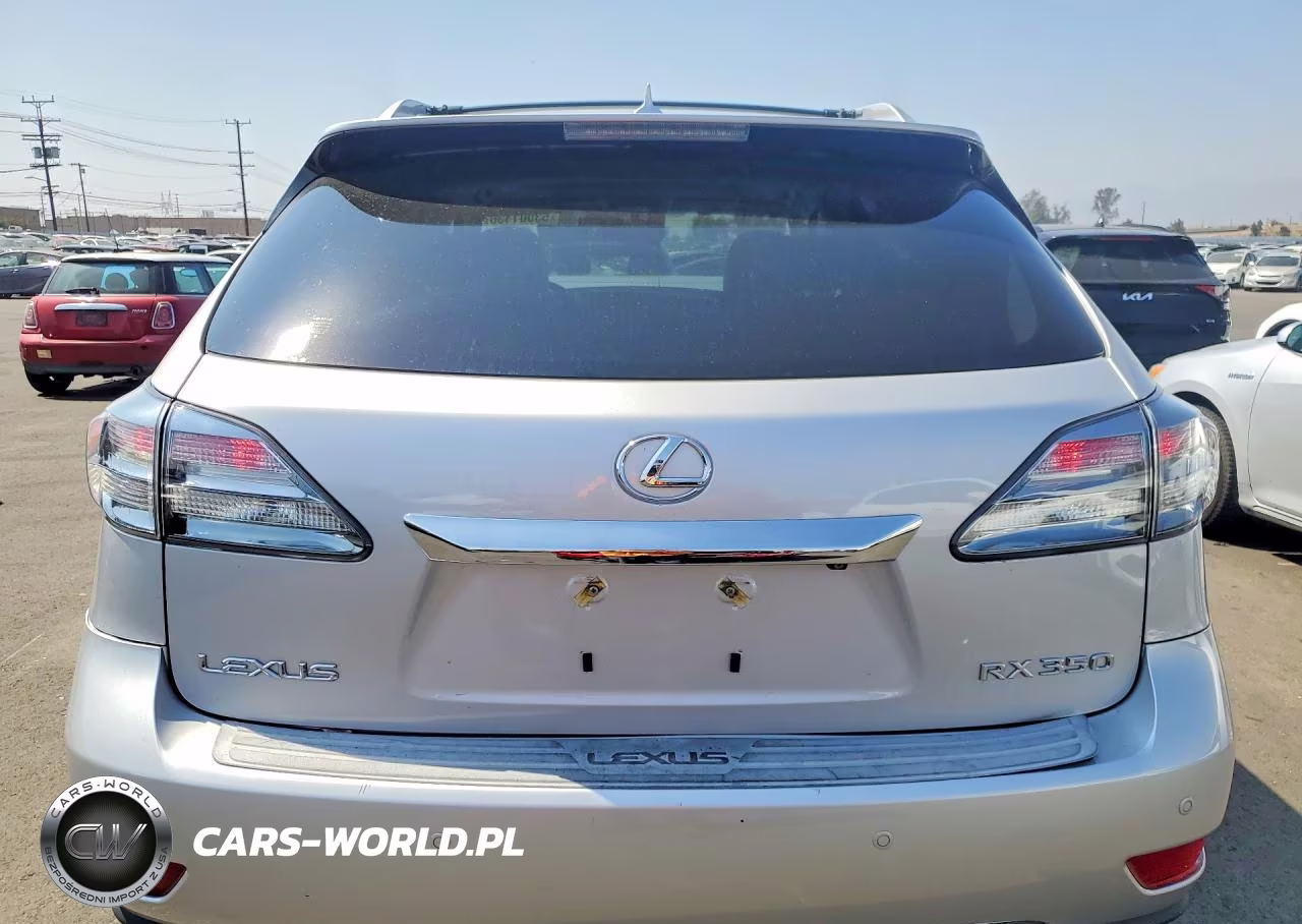 2010 Lexus Rx 350 VIN:JTJZK1BA7A2410097 - 6