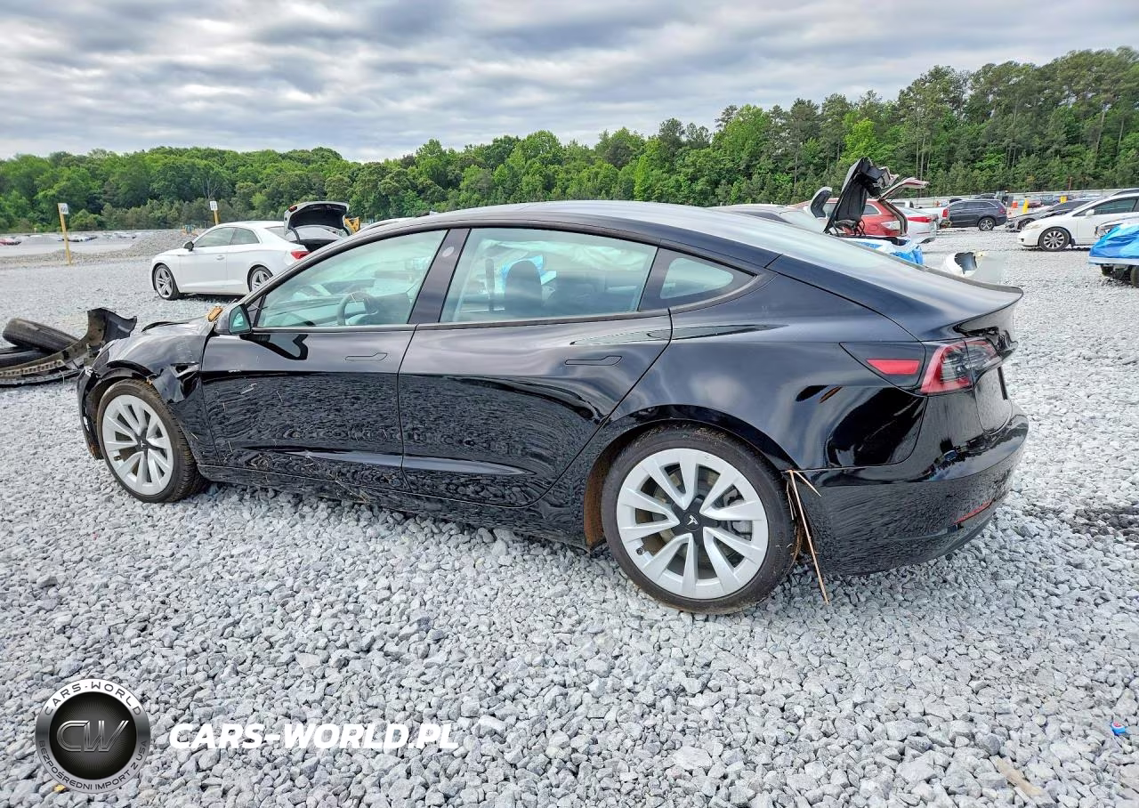 2022 Tesla Model 3 VIN:5YJ3E1EB3NF312692 - 2