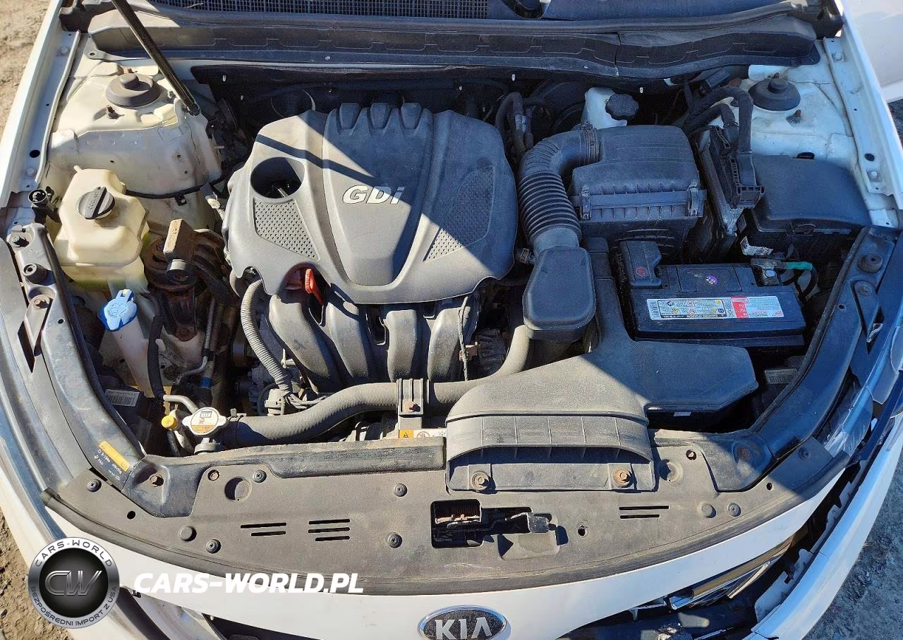 2014 Kia Optima Lx VIN:KNAGM4A74E5479987 - 11