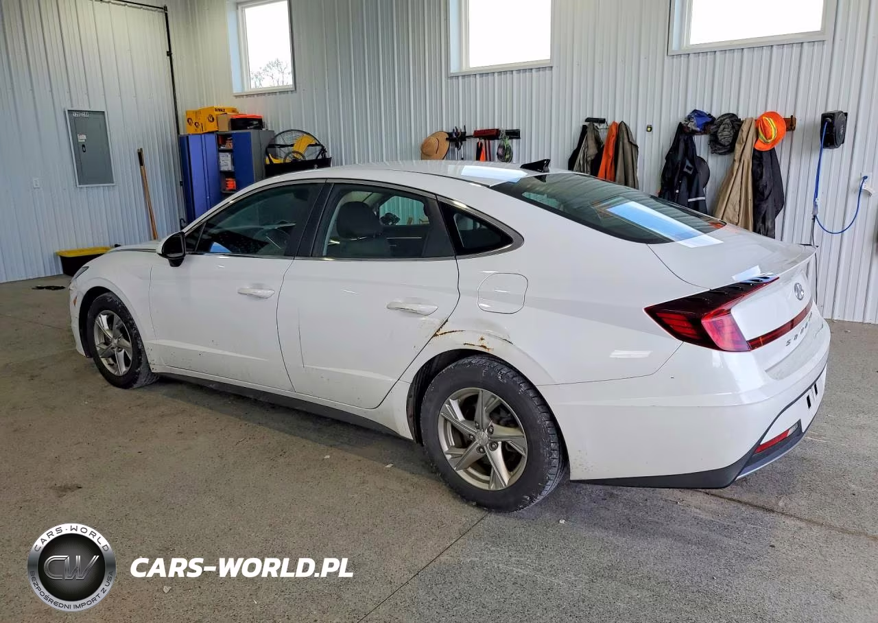 2020 Hyundai Sonata Se VIN:5NPEG4JA6LH056290 - 2