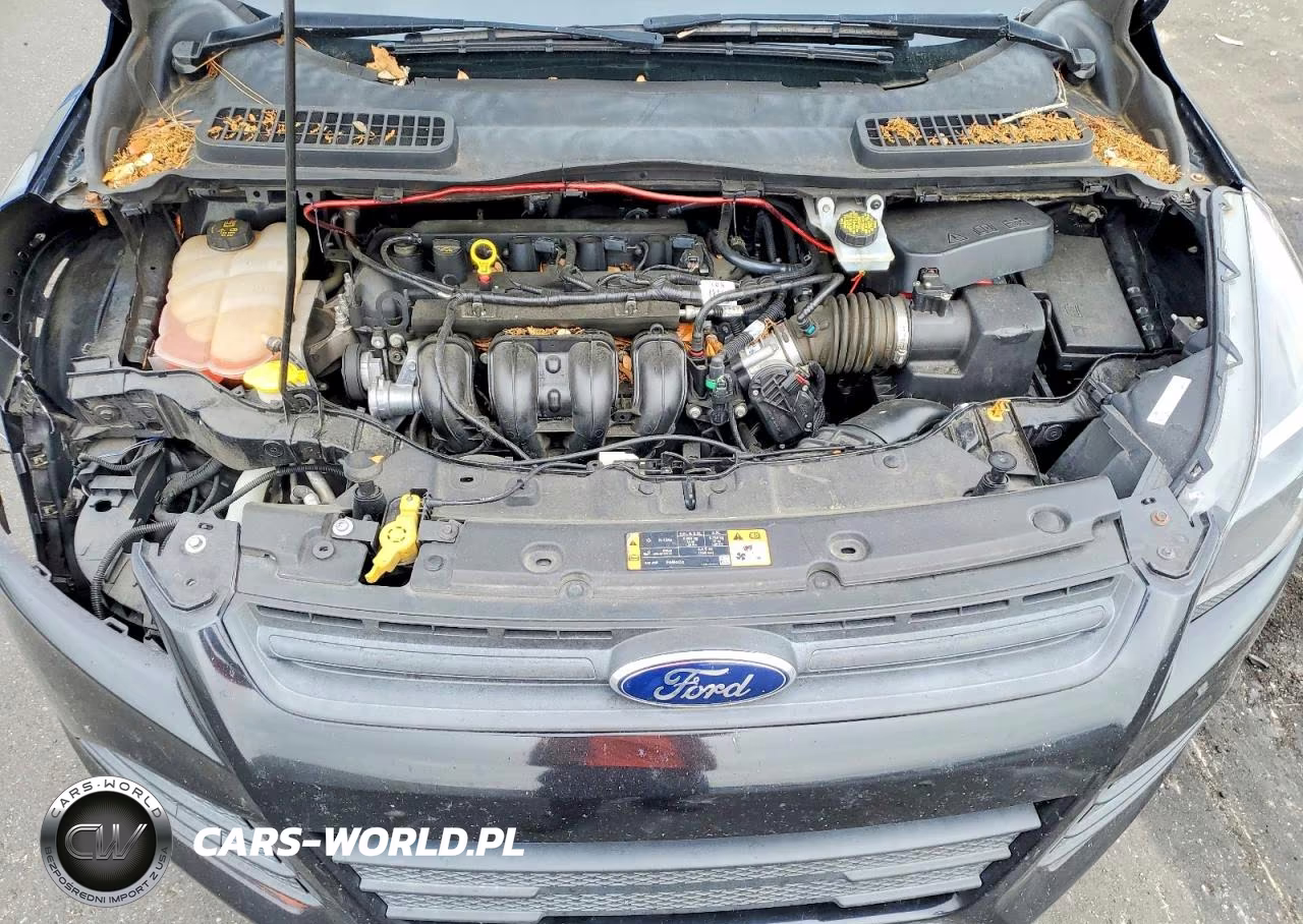 2016 Ford Escape S VIN:1FMCU0F74GUC19936 - 12