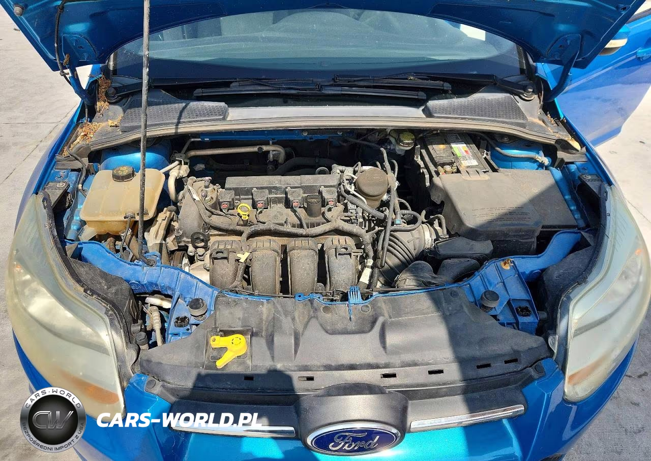 2014 Ford Focus Se VIN:1FADP3F21EL451618 - 11
