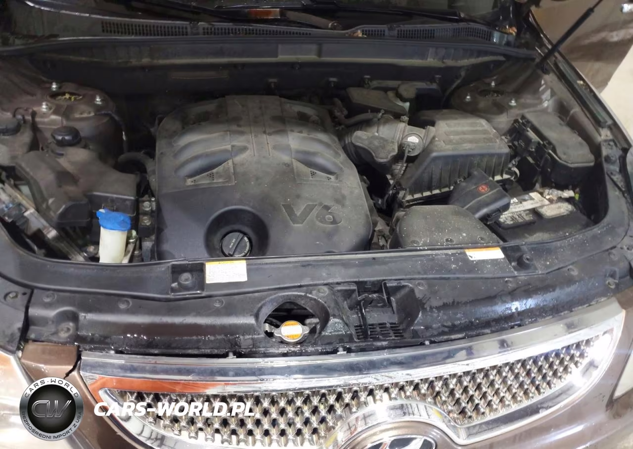 2011 Hyundai Veracruz Limited VIN:KM8NUDCCXBU162622 - 12