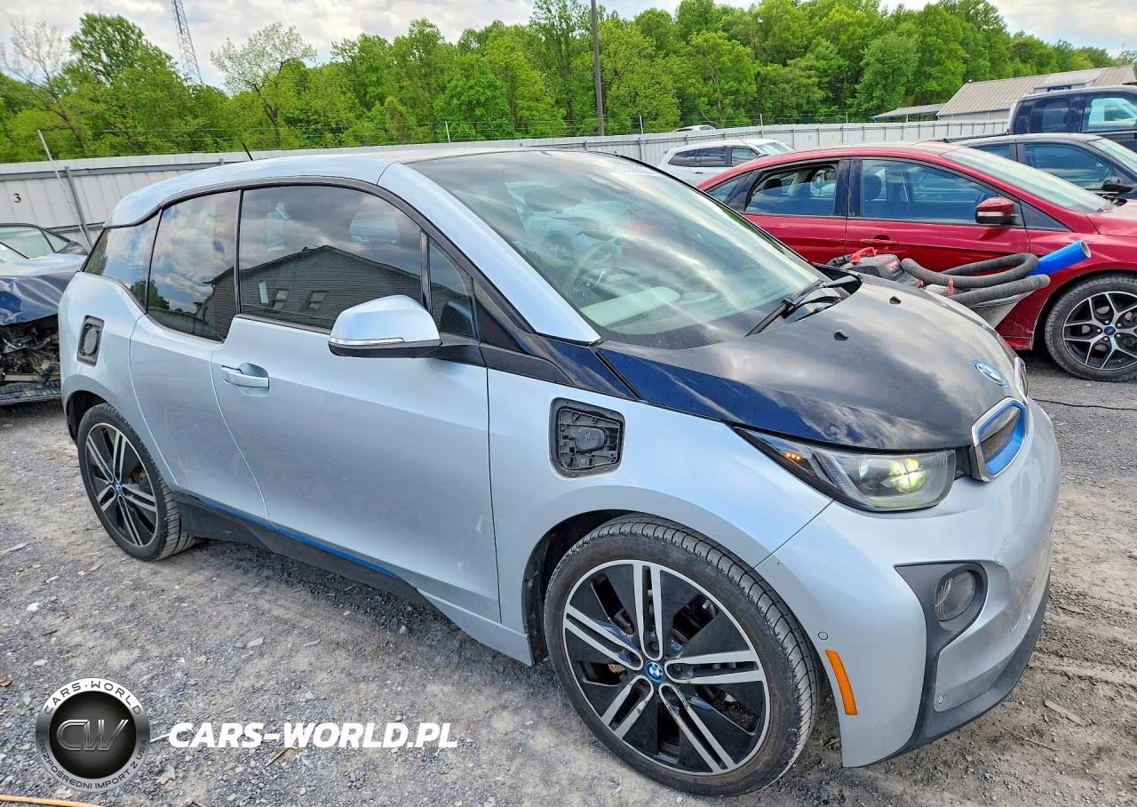 2014 BMW I3 Rex VIN:WBY1Z4C51EVX62917 - 4