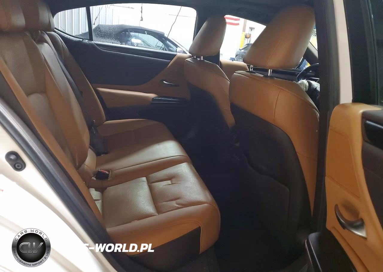 2019 Lexus Es 350 VIN:58ABZ1B13KU034265 - 10