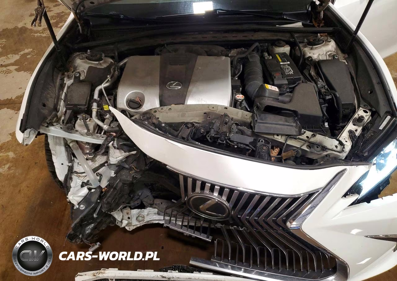 2019 Lexus Es 350 VIN:58ABZ1B13KU034265 - 11