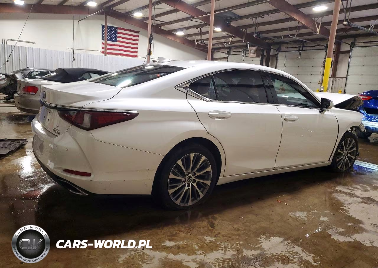 2019 Lexus Es 350 VIN:58ABZ1B13KU034265 - 3