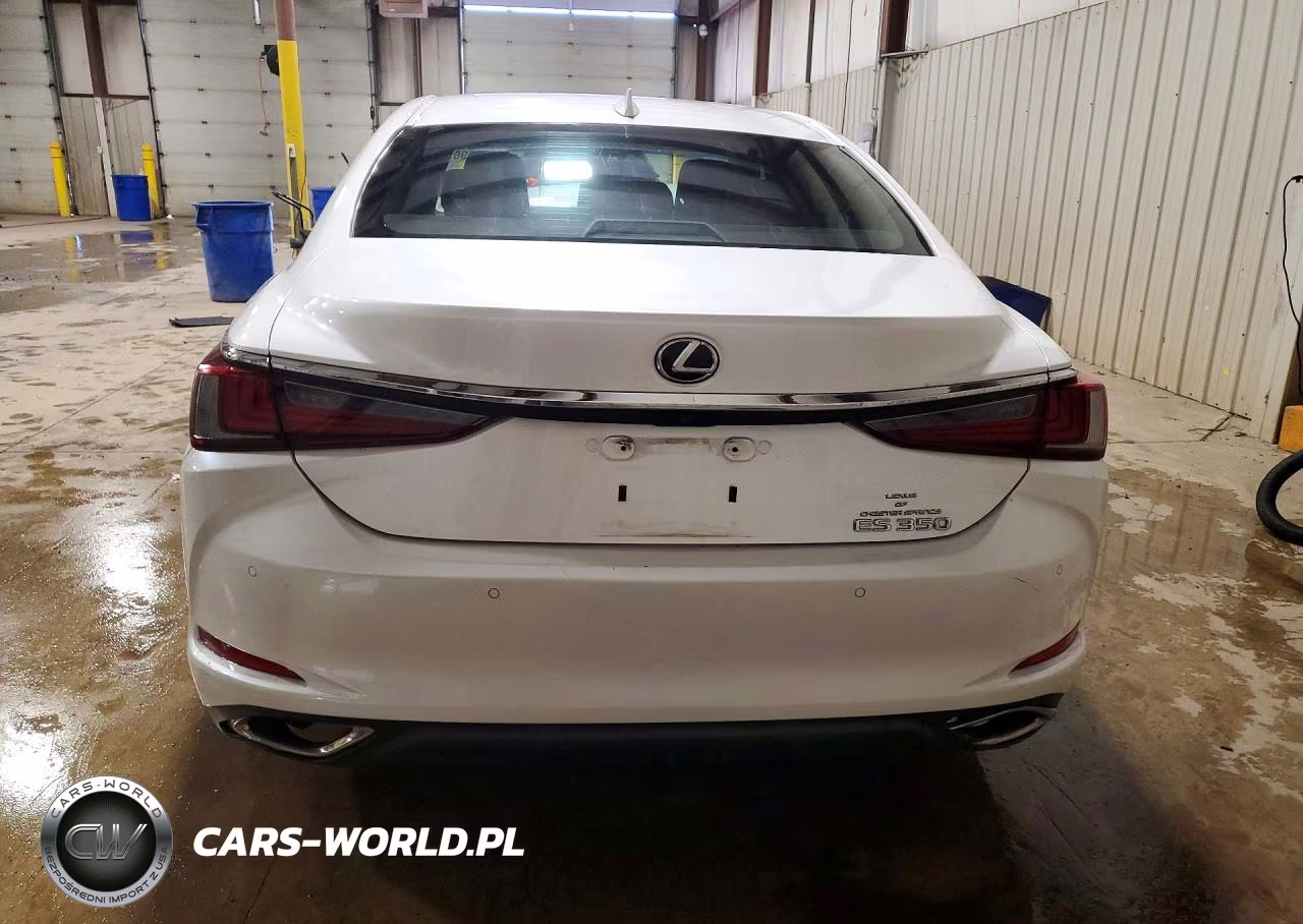 2019 Lexus Es 350 VIN:58ABZ1B13KU034265 - 6