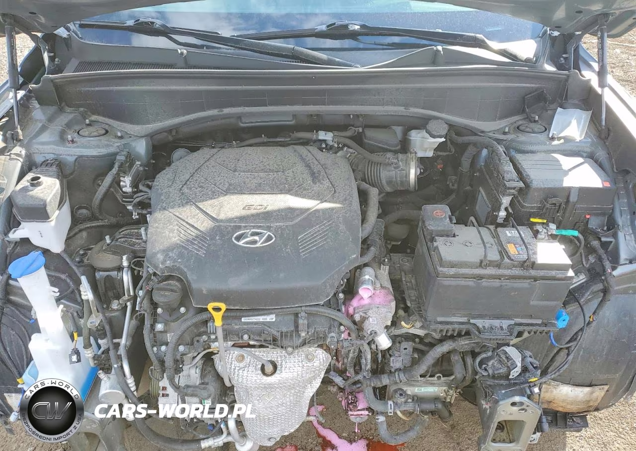 2024 Hyundai Palisade Xrt VIN:KM8R3DGEXRU801396 - 12