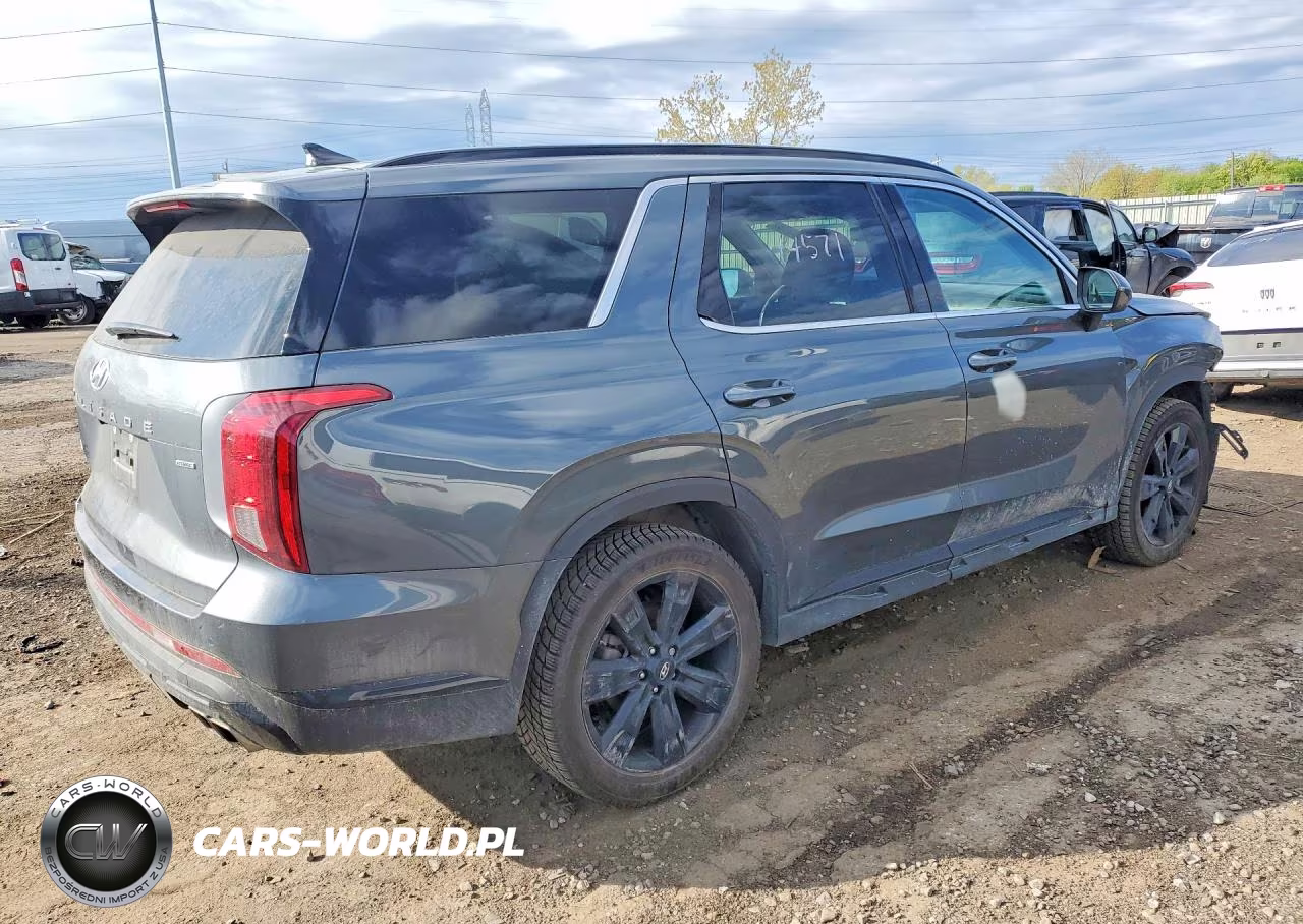 2024 Hyundai Palisade Xrt VIN:KM8R3DGEXRU801396 - 3