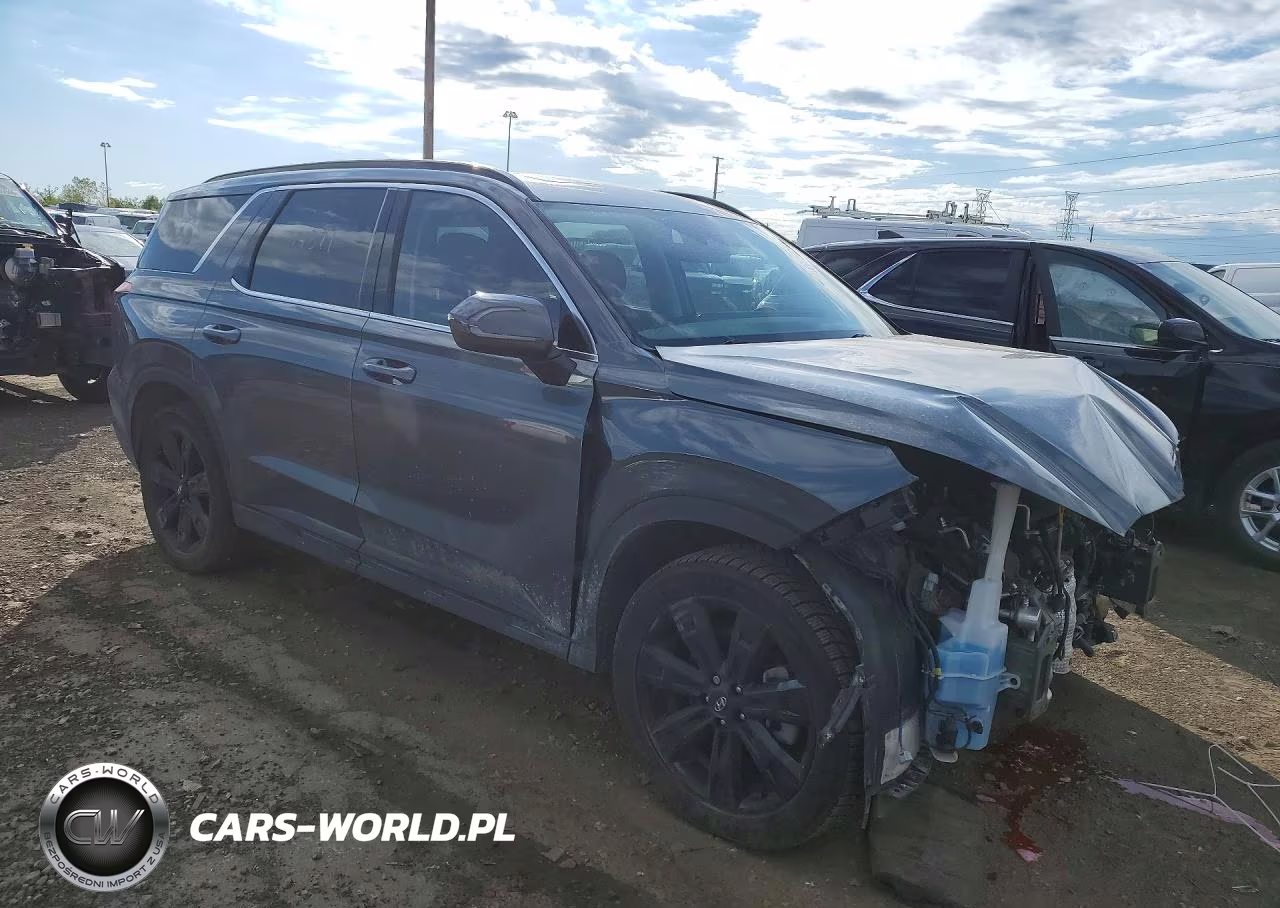 2024 Hyundai Palisade Xrt VIN:KM8R3DGEXRU801396 - 4