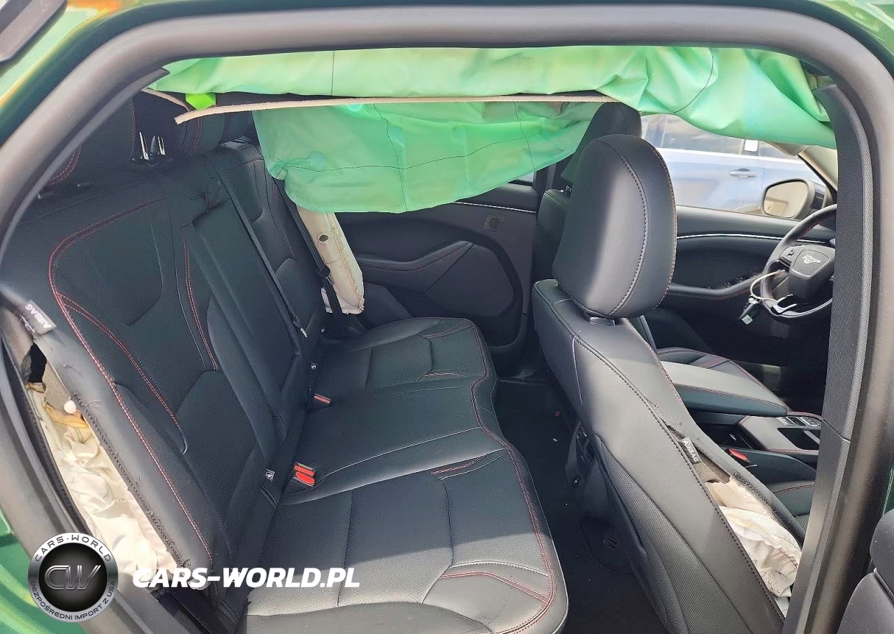 2025 Ford Mustang Mach-E Premium VIN:3FMTK3SU2SMA45431 - 10
