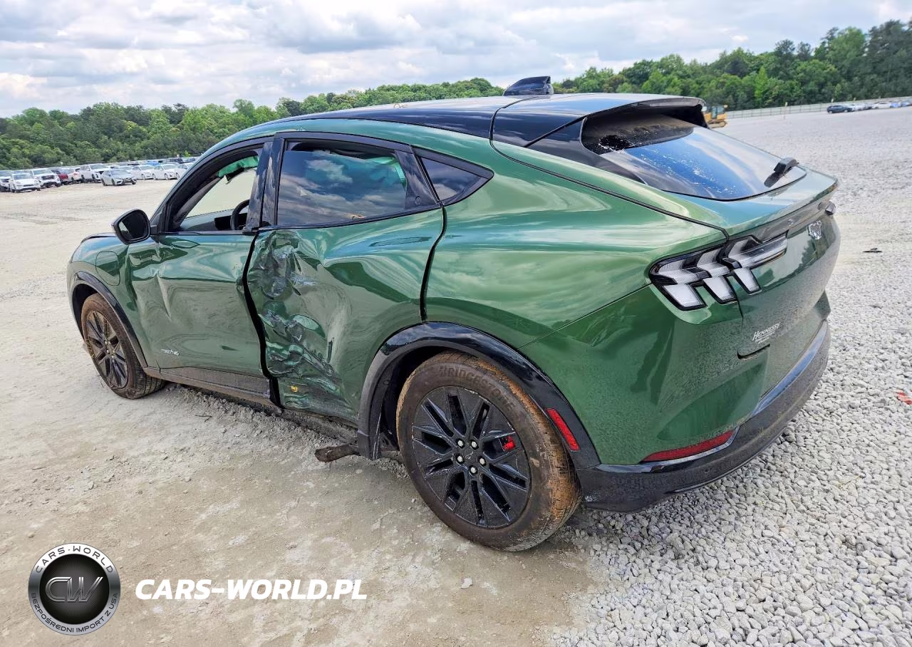 2025 Ford Mustang Mach-E Premium VIN:3FMTK3SU2SMA45431 - 2
