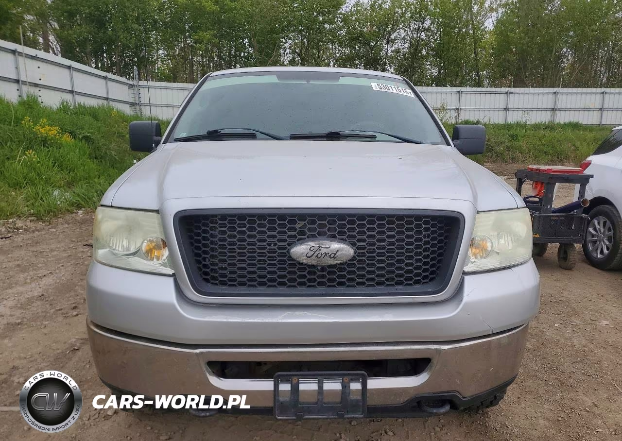 2006 Ford F150 VIN:1FTPX14506NB28787 - 5
