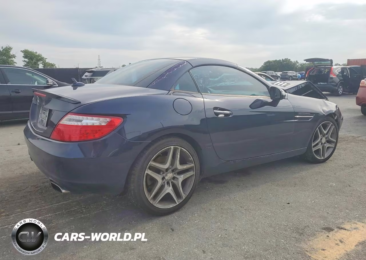 2013 Mercedes-Benz Slk 250 VIN:WDDPK4HA0DF051780 - 3