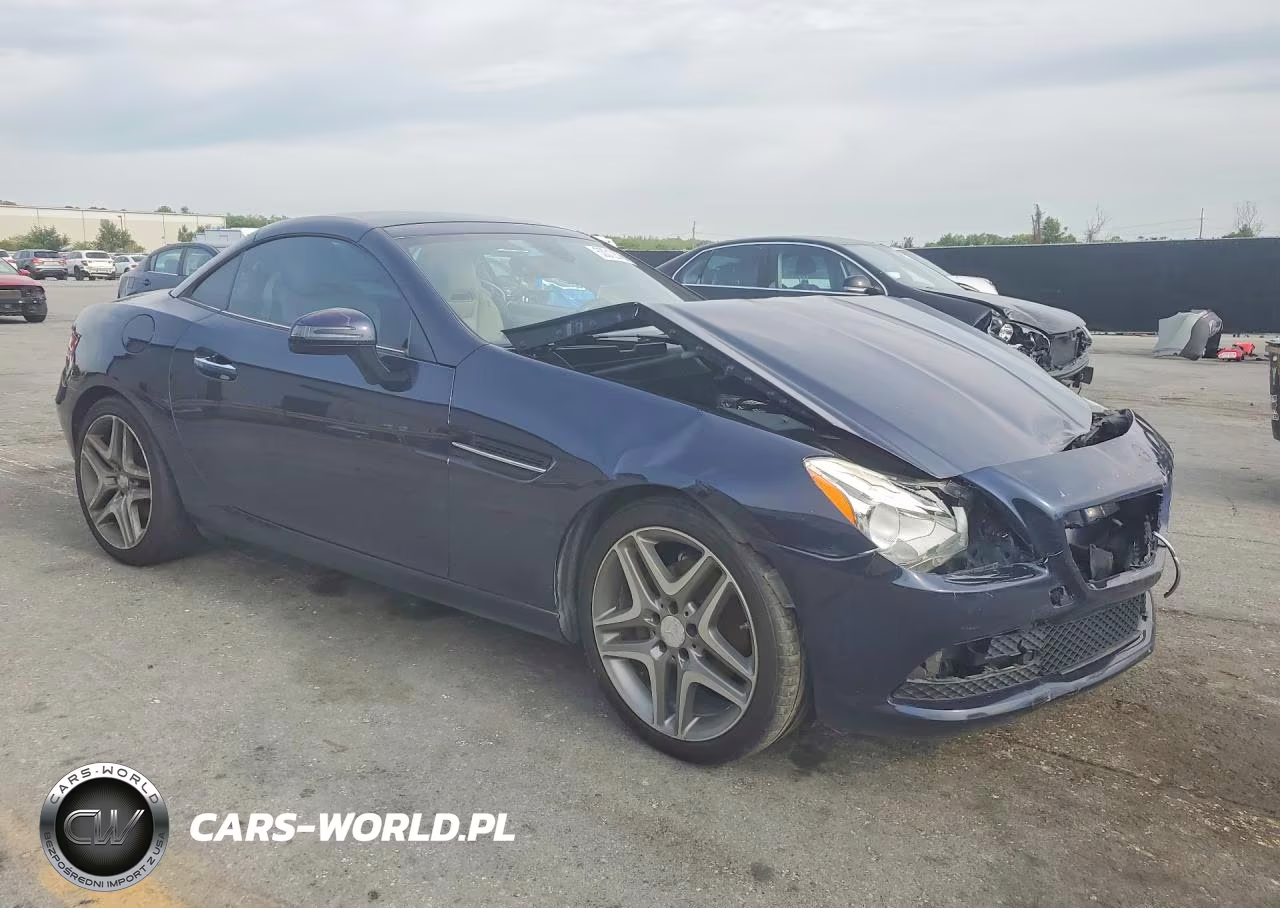 2013 Mercedes-Benz Slk 250 VIN:WDDPK4HA0DF051780 - 4