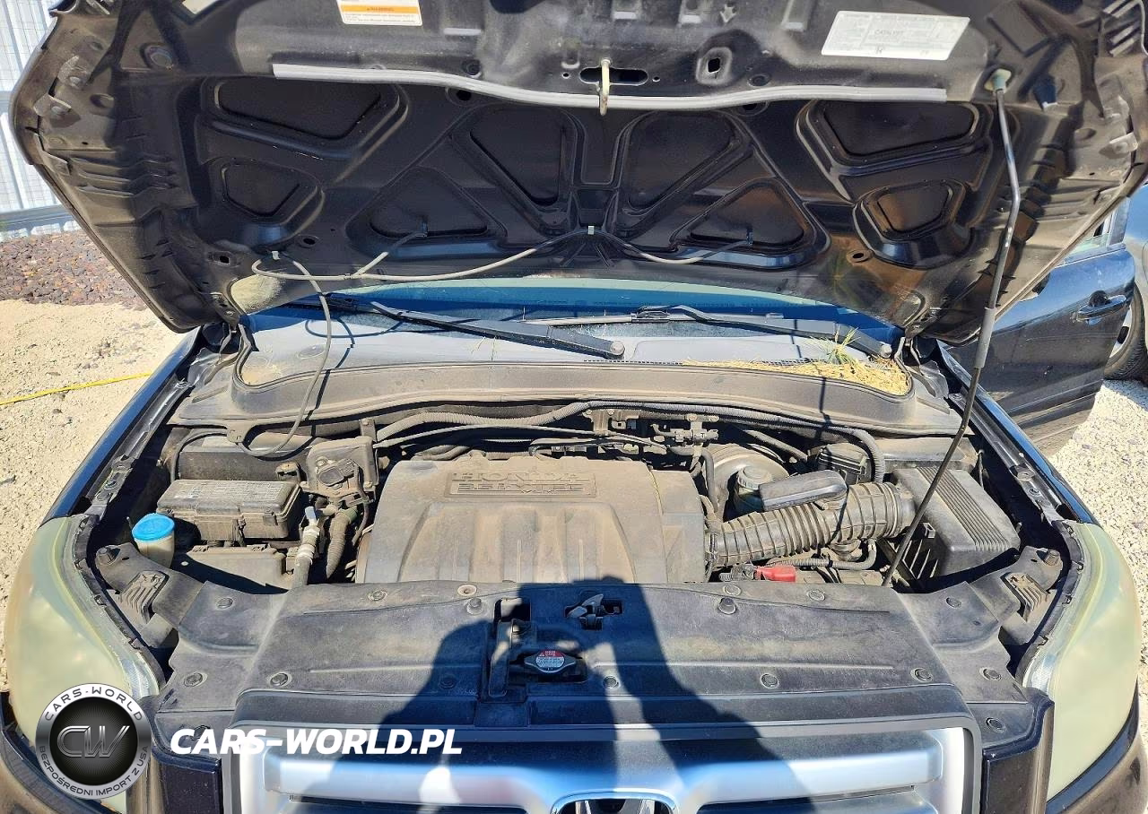 2006 Honda Pilot Ex VIN:5FNYF28496B006619 - 12