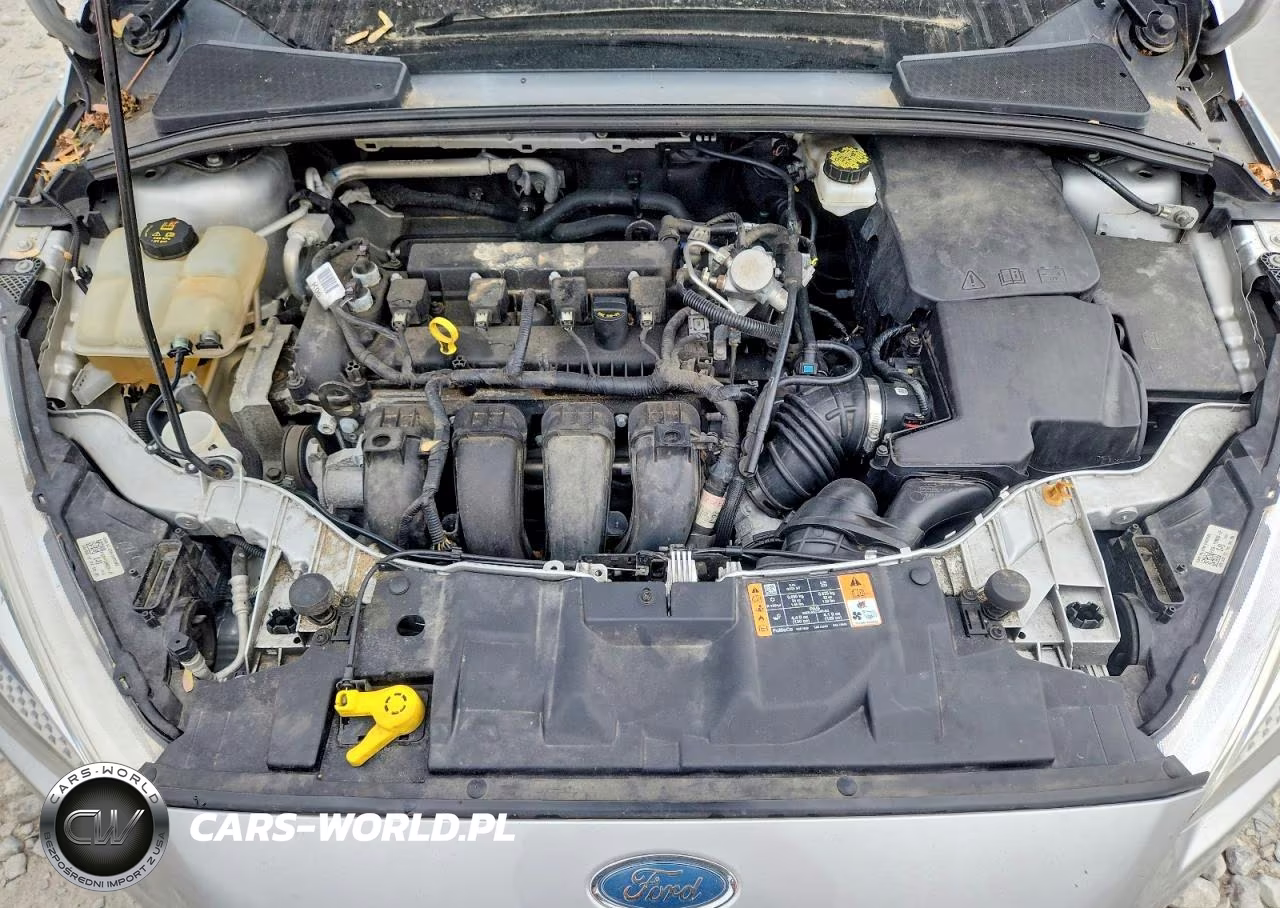 2017 Ford Focus S VIN:1FADP3E24HL322326 - 11