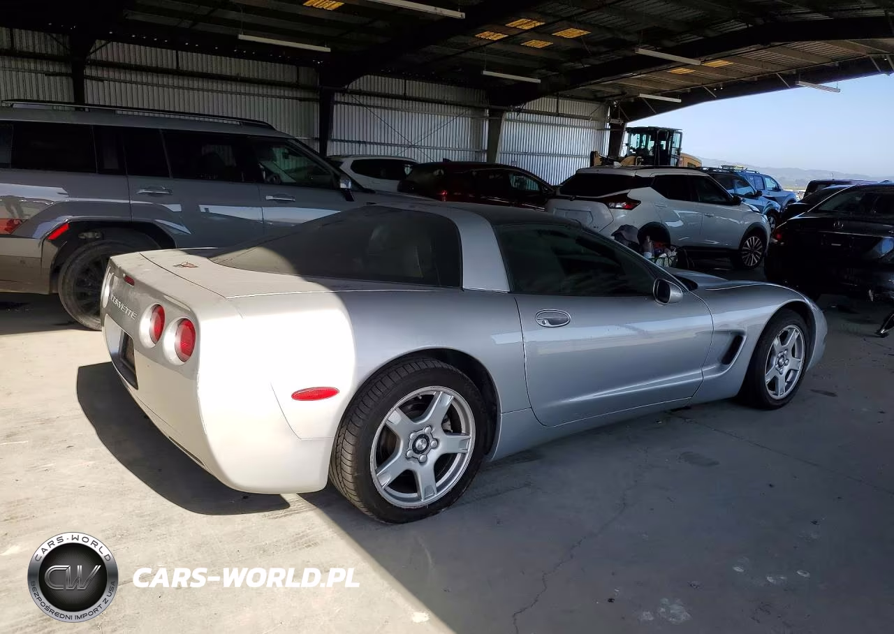 1997 Chevrolet Corvette VIN:1G1YY22G6V5108482 - 3