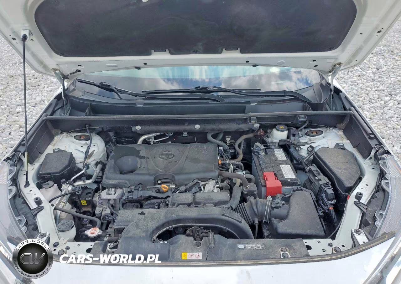 2020 Toyota Rav4 Xle VIN:2T3P1RFV3LC062464 - 12