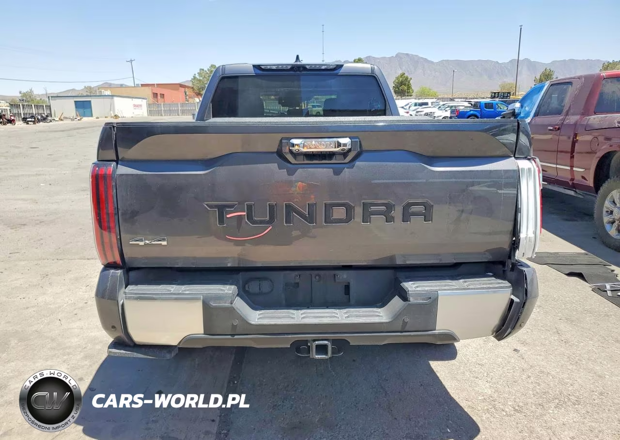 2023 Toyota Tundra Crewmax Limited VIN:5TFJA5EC2PX015036 - 6
