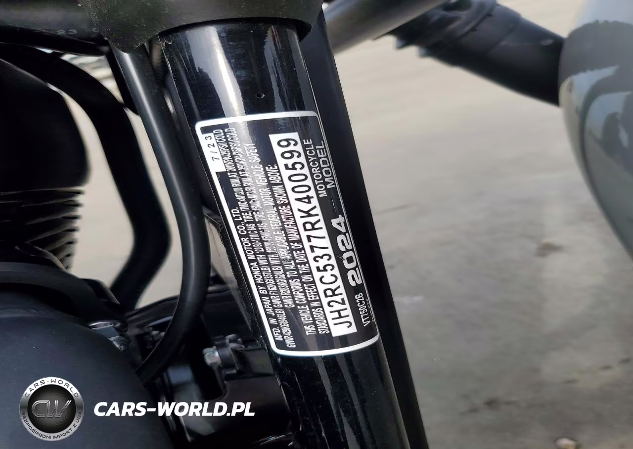2024 Honda Vt750 C2B VIN:JH2RC5377RK400599 - 9