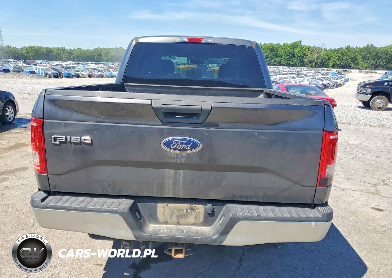 2017 Ford F150 Supercrew VIN:1FTEW1EF3HFA11980 - 6