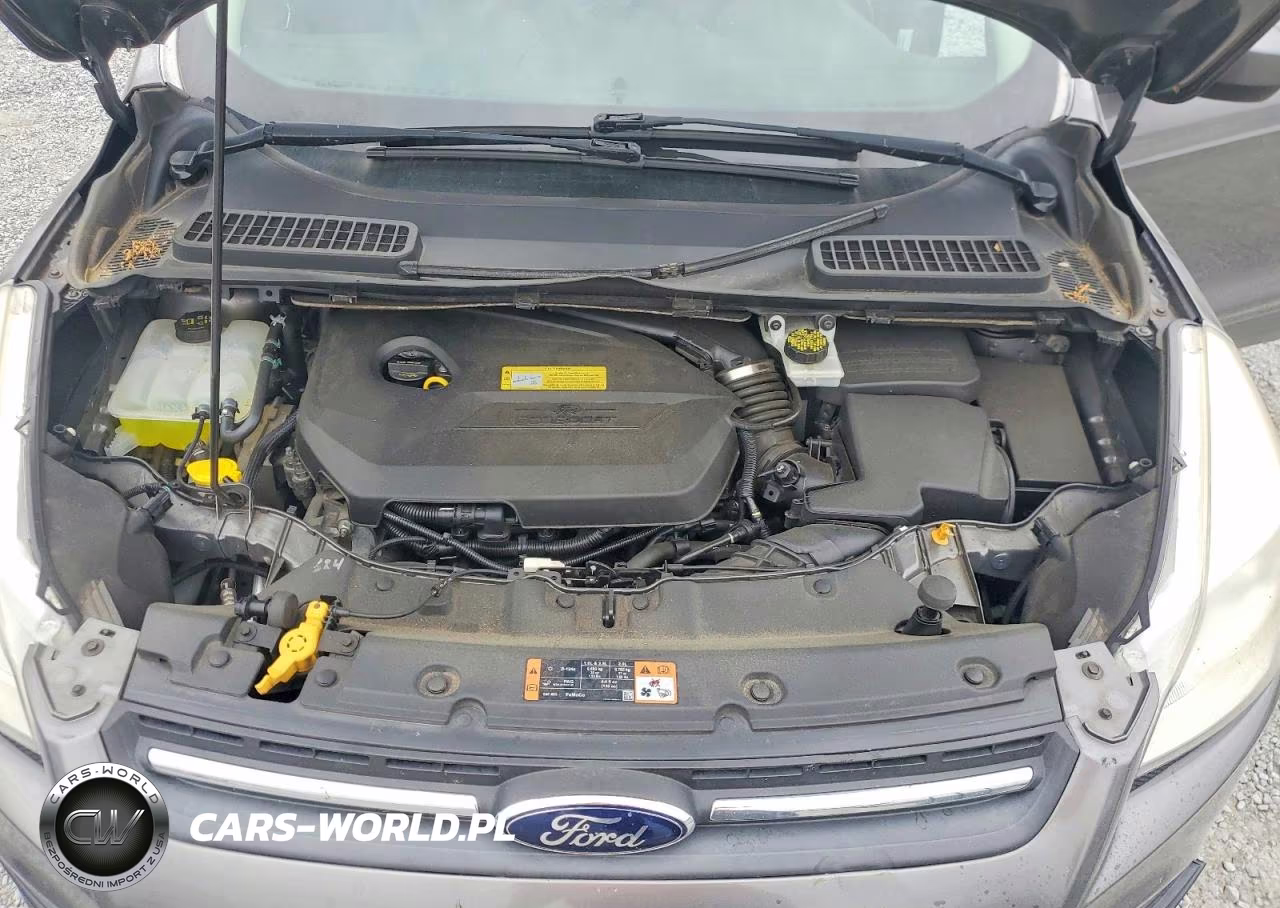2014 Ford Escape Se VIN:1FMCU0GX5EUC06866 - 12