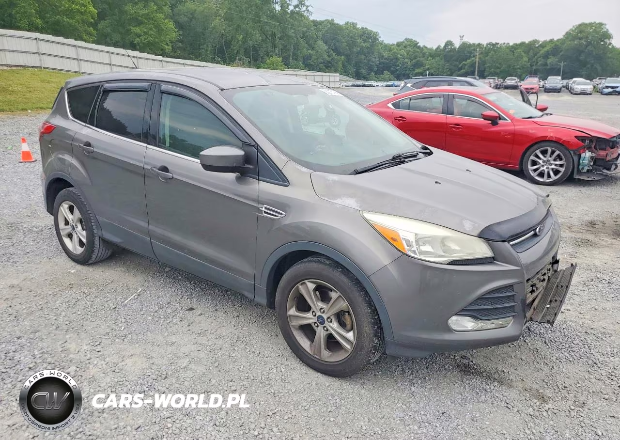 2014 Ford Escape Se VIN:1FMCU0GX5EUC06866 - 4