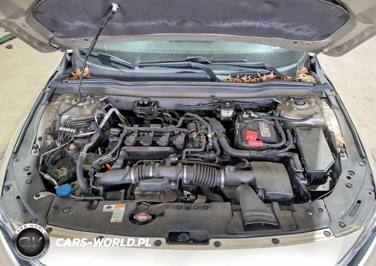 2019 Honda Accord Lx VIN:1HGCV1F17KA093683 - 11