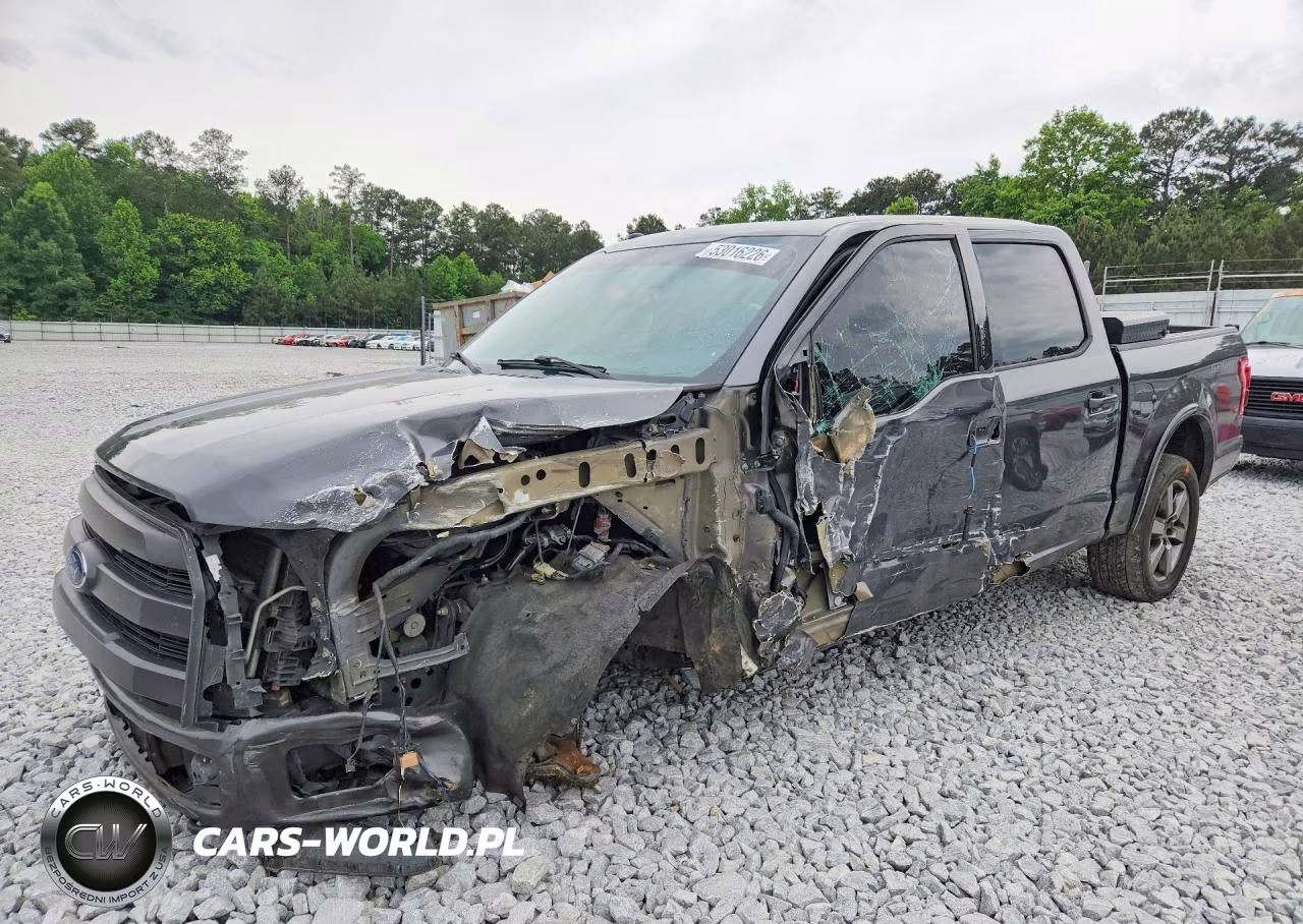 2019 Ford F150 Supercrew VIN:1FTEW1EG5HFB79659 - 1