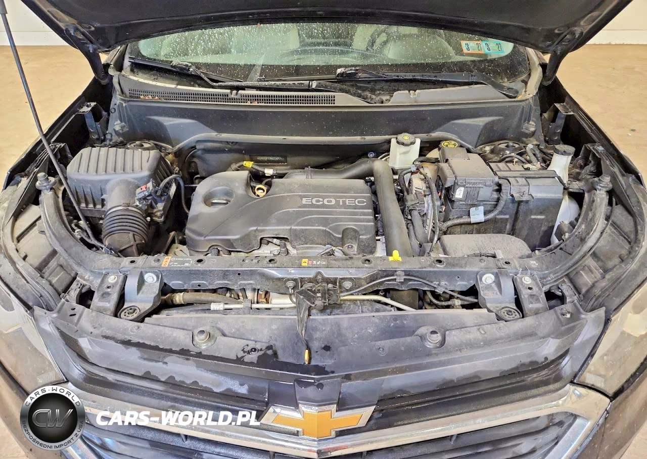 2019 Chevrolet Equinox Ls VIN:2GNAXSEV7K6233097 - 12