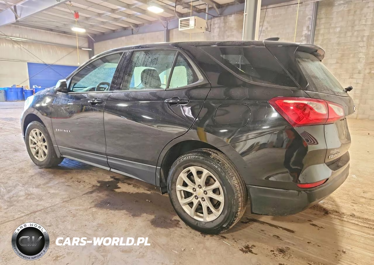 2019 Chevrolet Equinox Ls VIN:2GNAXSEV7K6233097 - 2