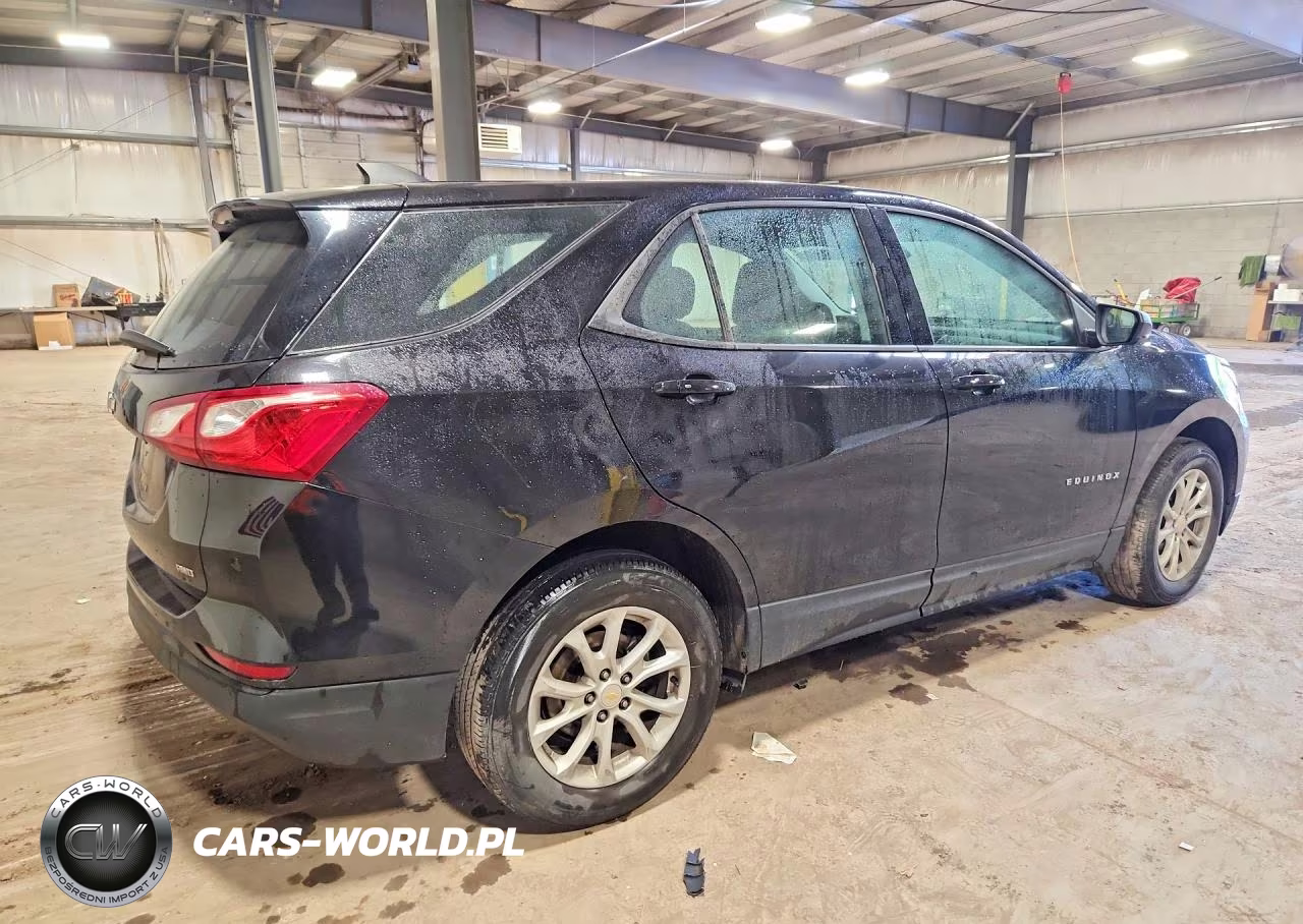 2019 Chevrolet Equinox Ls VIN:2GNAXSEV7K6233097 - 3
