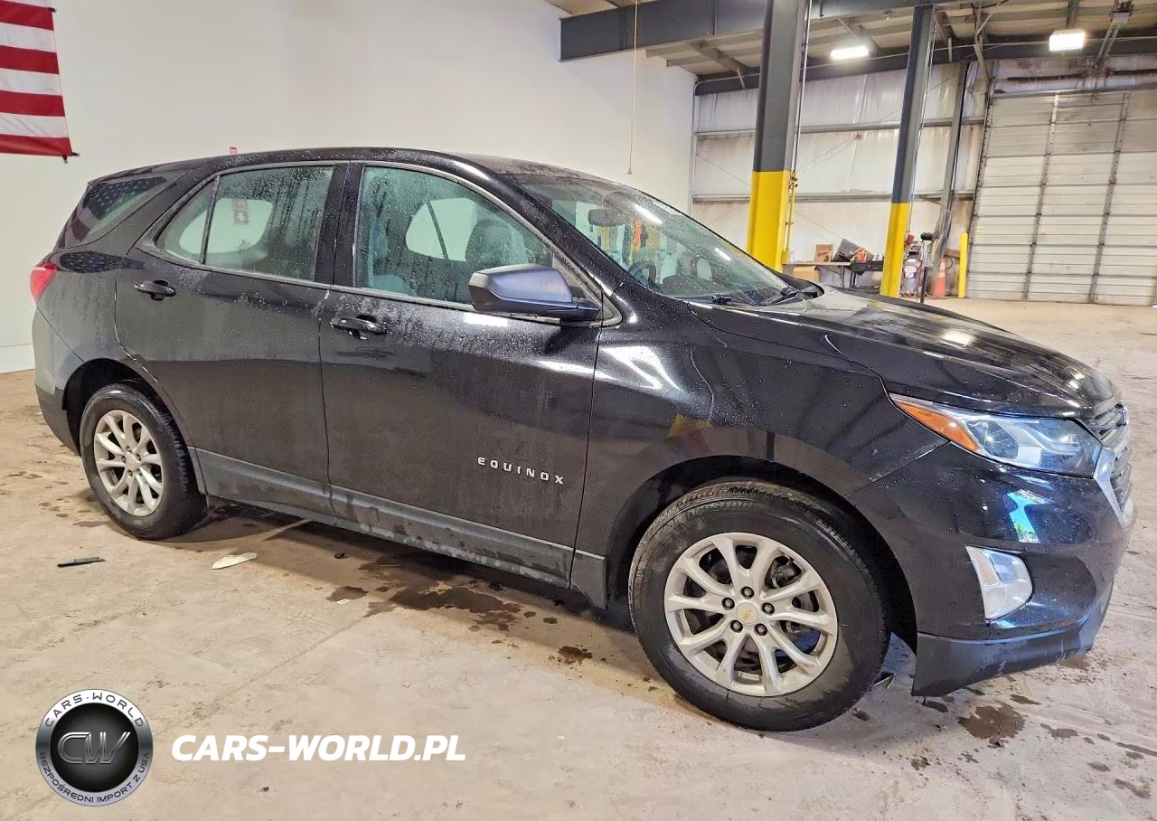 2019 Chevrolet Equinox Ls VIN:2GNAXSEV7K6233097 - 4