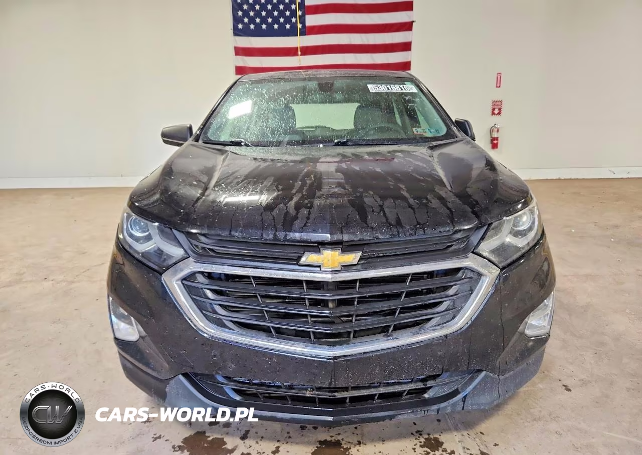 2019 Chevrolet Equinox Ls VIN:2GNAXSEV7K6233097 - 5